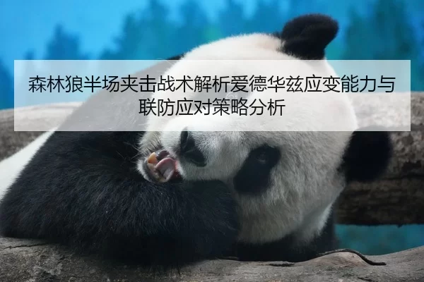 森林狼半场夹击战术解析爱德华兹应变能力与联防应对策略分析