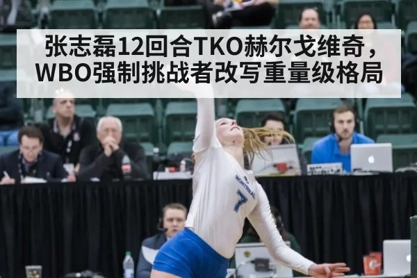 张志磊12回合TKO赫尔戈维奇,WBO强制挑战者改写重量级格局