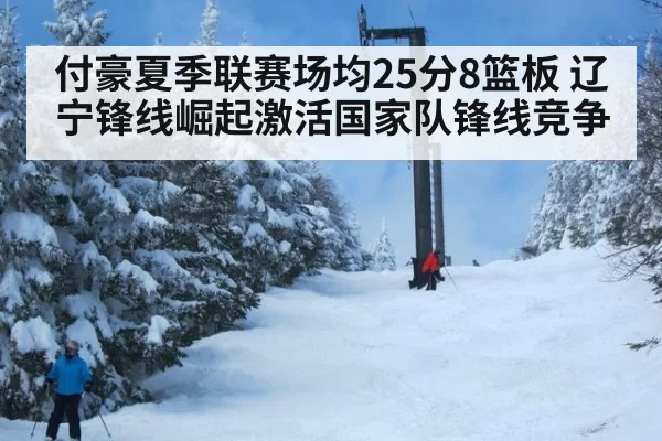 付豪夏季联赛场均25分8篮板 辽宁锋线崛起激活国家队锋线竞争